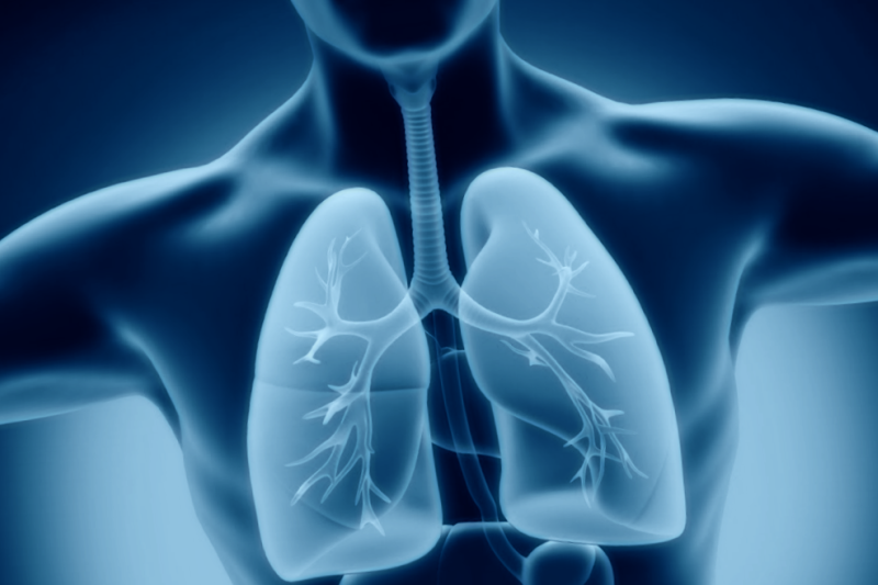 who is most at risk for mesothelioma
